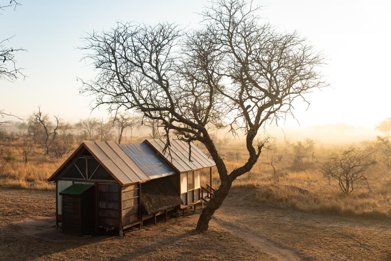 Buffelshoek Tented Camp Manyeleti Game Reserve Exterior foto